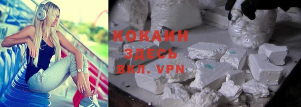 гидра Кукмор