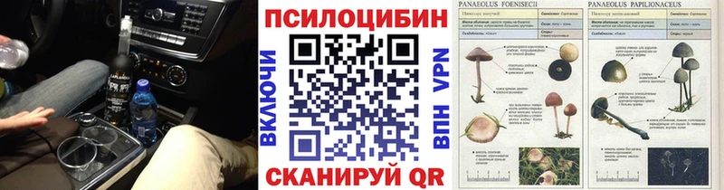 Галлюциногенные грибы Psilocybe  Шарья 
